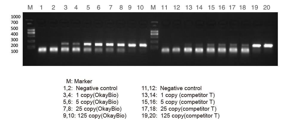 熱啟動(dòng)酶在低拷貝模板放大中的作用