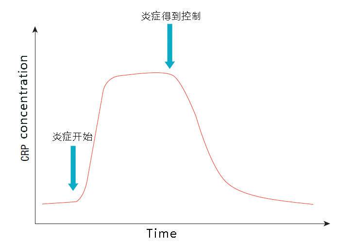 C反應蛋白濃度變化趨勢