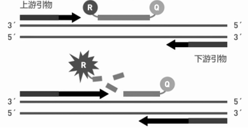 探針法發(fā)光原理