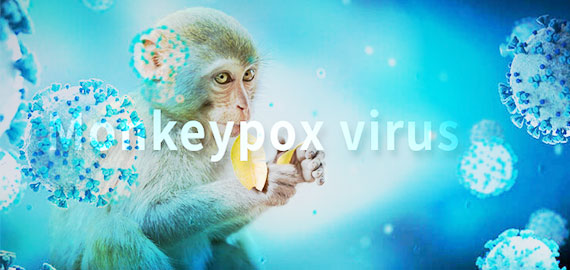 SingleB猴痘項(xiàng)目大顯身手，近100株抗體火速上新！