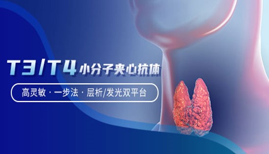 【小分子夾心法】甲功T3/T4，高靈敏&一步法