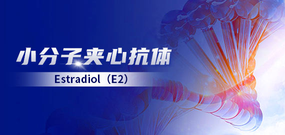 【小分子夾心】雌二醇（E2）夾心抗體在發(fā)光及層析平臺(tái)的應(yīng)用