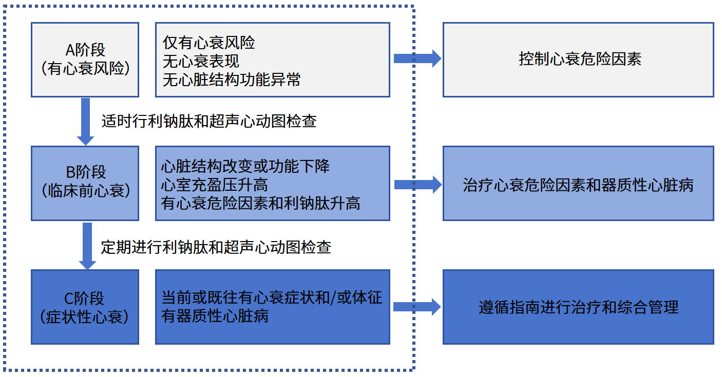 心力衰竭（心衰）早期篩查與管理流程
